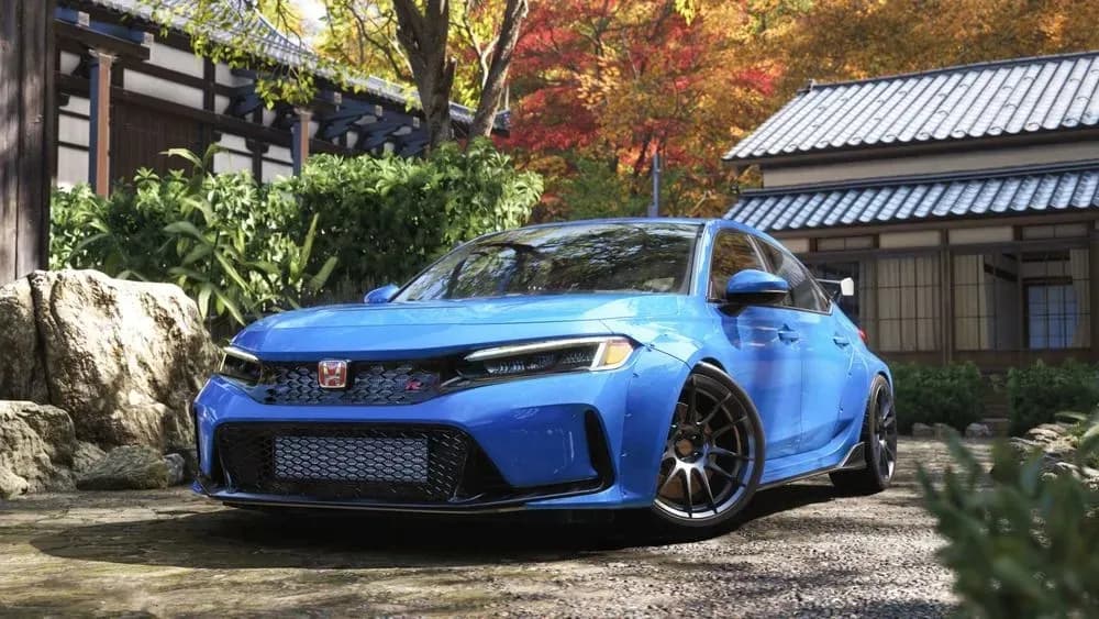Forza Horizon 6: Best Fanatec and Logitech Settings for Xbox and PC With Optimized Force Feedback