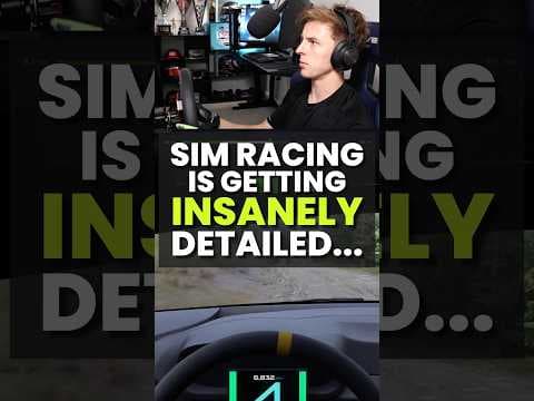 First we saw a bird in Le Mans Ultimate, now this?🤯